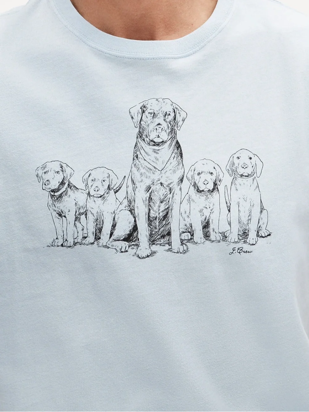 J crew blue dog Vintage-wash cotton graphic T-shirt